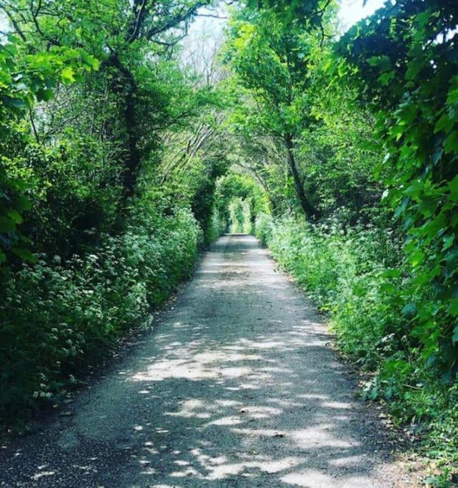 Apartment Secluded Woodland Annex Between Mylor And Flushing *